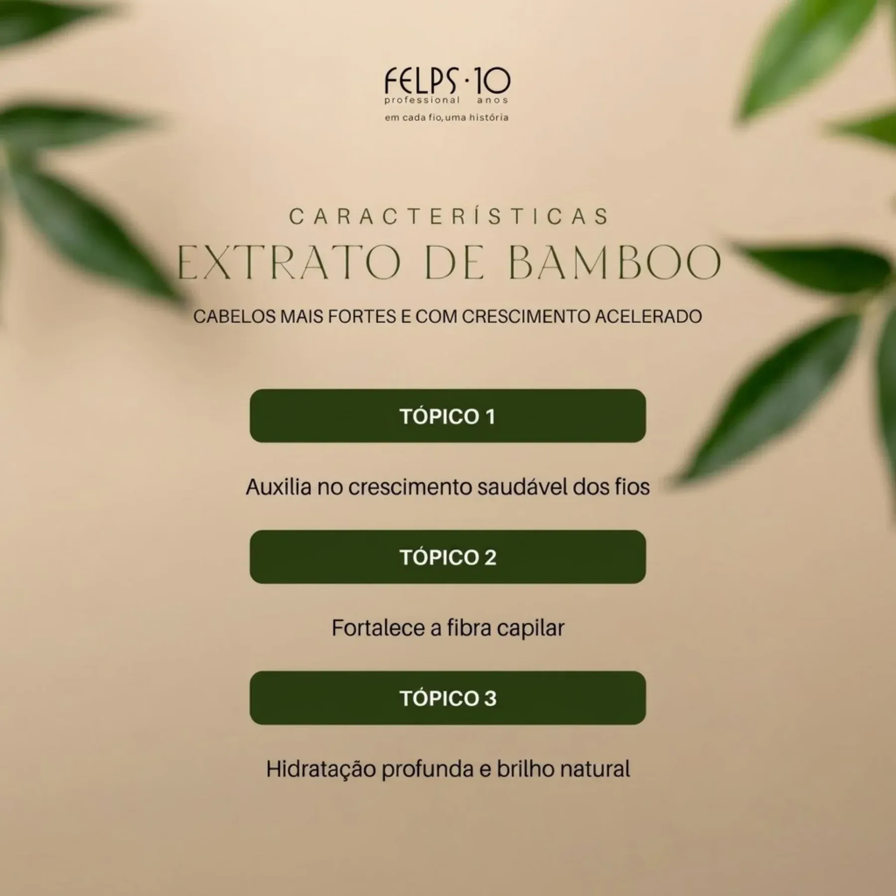 bamboo -2-